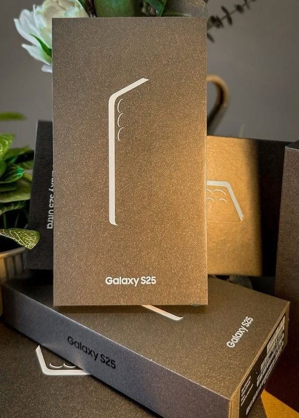 Samsung Galaxy S25 256GB